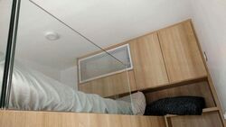 Spottiswoode Suites (D2), Apartment #509200221